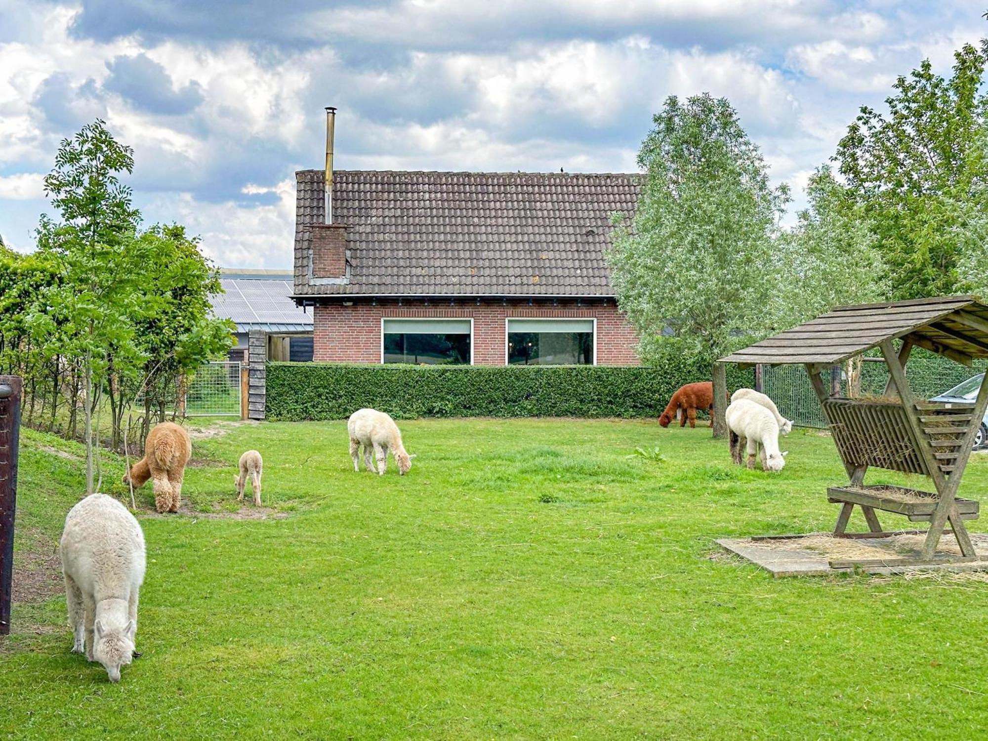 Alpacafarm Vorstenbosch Exterior foto